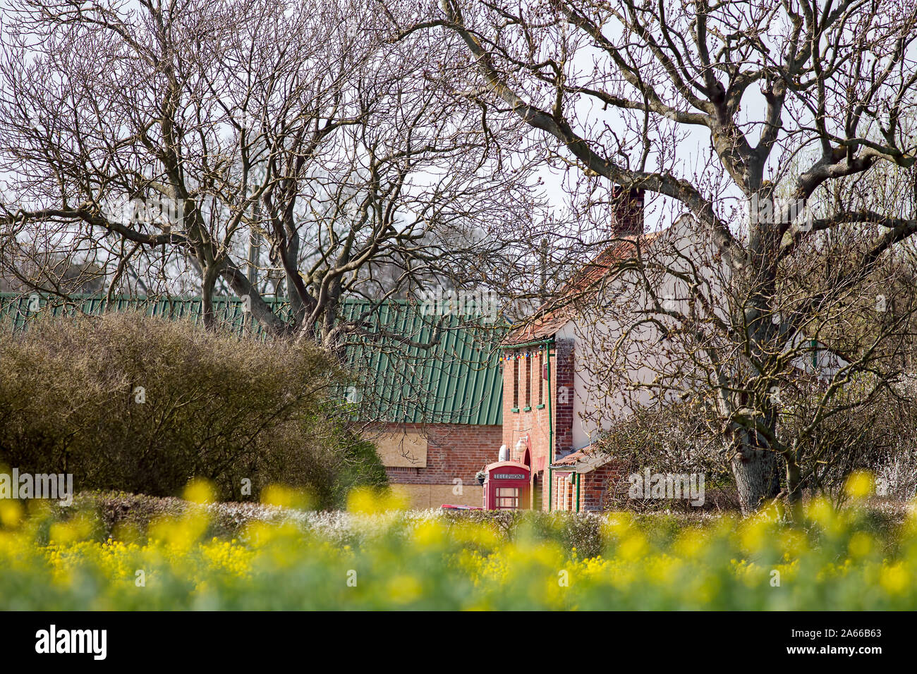 Inghilterra rurale paese di scena. Alberi, pub, telefono rosso casella e dal tetto verde fienile. Villaggio di campagna stile di vita immagine di sfondo. Foto Stock