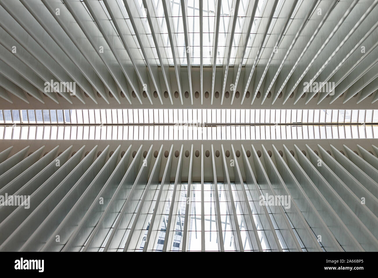 L'occhio, New York City Hub di trasporto al sito del World Trade Center, Ground Zero. Foto Stock