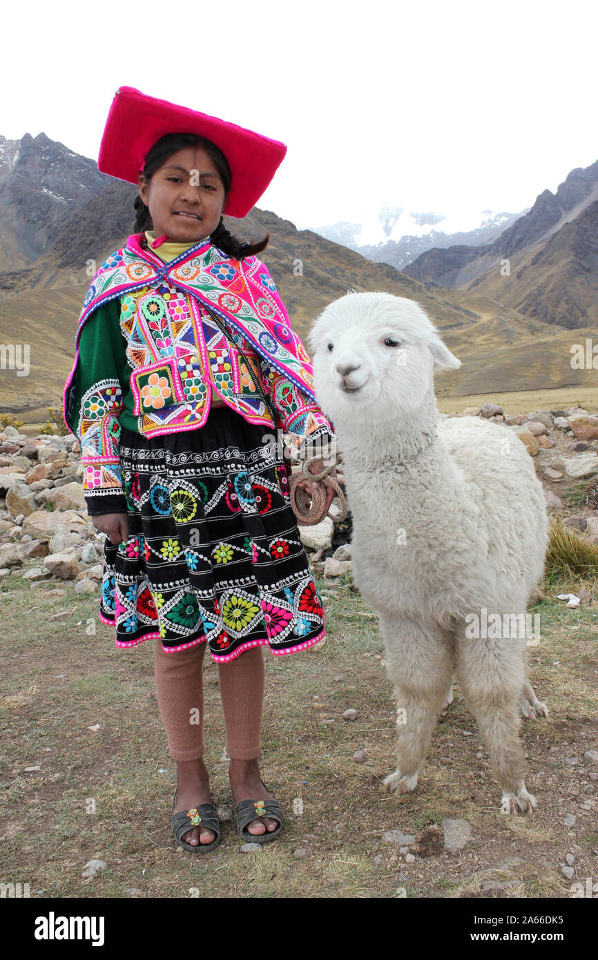 Ragazza andina indossando abiti tradizionali con un Alpaca Foto Stock