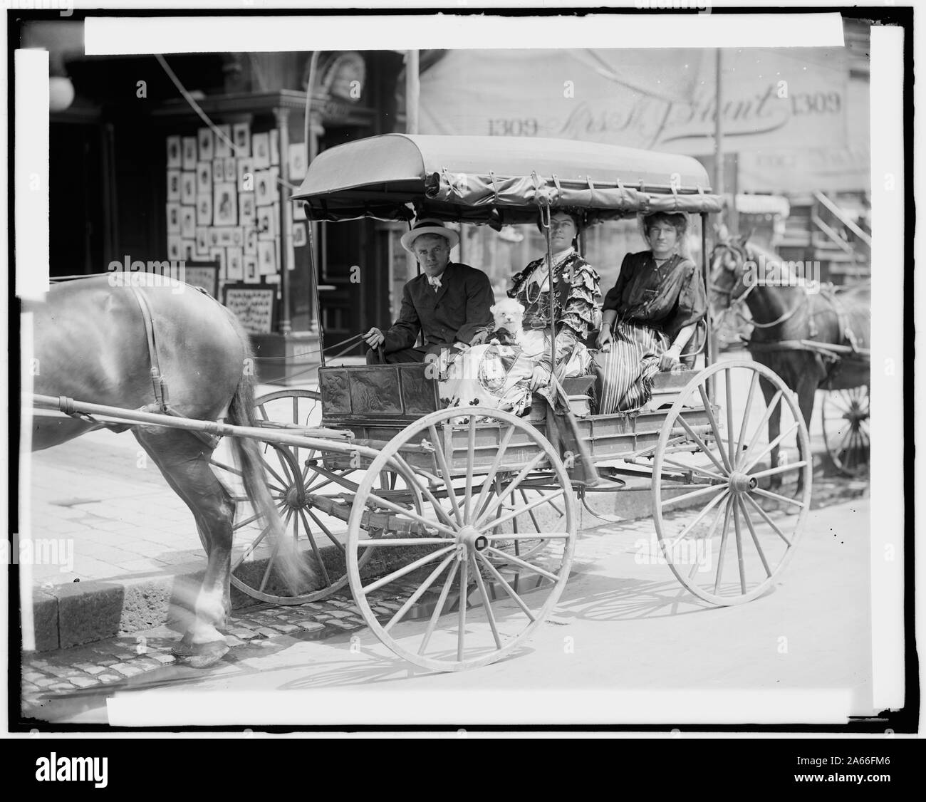 Le donne nel carrello Foto Stock