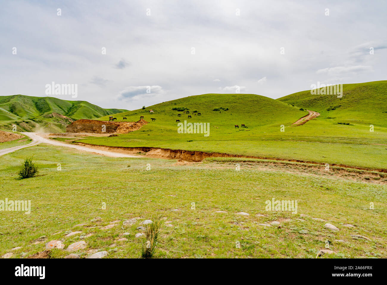 Soggiornare Kolsai laghi pittoreschi mozzafiato paesaggio panoramico vista di cavalli di erba di pascolo su un nuvoloso cielo blu giorno Foto Stock