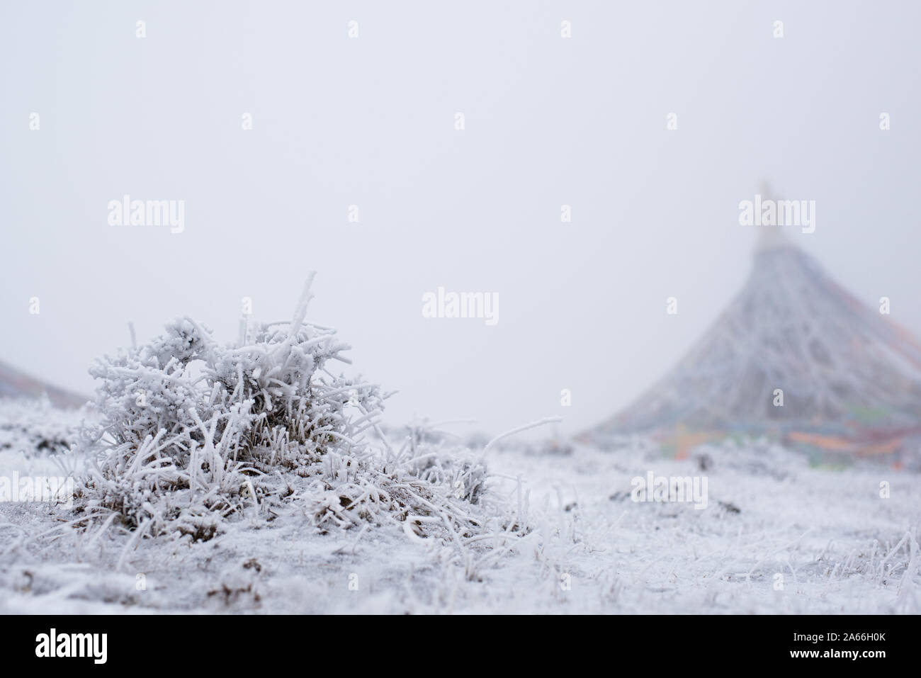 Xining. 24 ott 2019. Foto scattata su 24 Ottobre, 2019 mostra paesaggio a Qunjia National Forest Park nella contea di Huangzhong, a nord-ovest della Cina di Provincia di Qinghai. Credito: Wu pista/Xinhua/Alamy Live News Foto Stock
