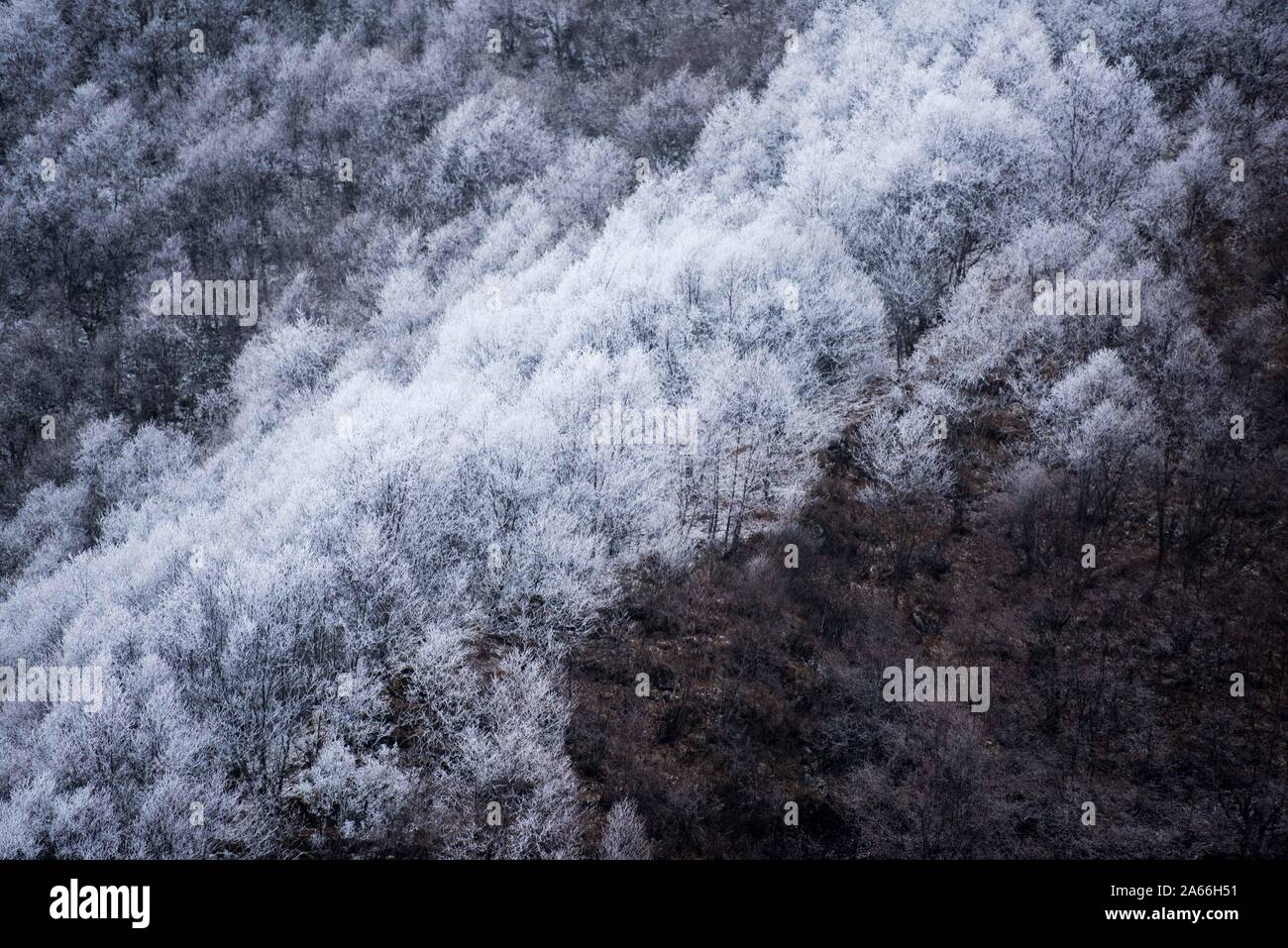 Xining. 24 ott 2019. Foto scattata su 24 Ottobre, 2019 mostra paesaggio a Qunjia National Forest Park nella contea di Huangzhong, a nord-ovest della Cina di Provincia di Qinghai. Credito: Wu pista/Xinhua/Alamy Live News Foto Stock