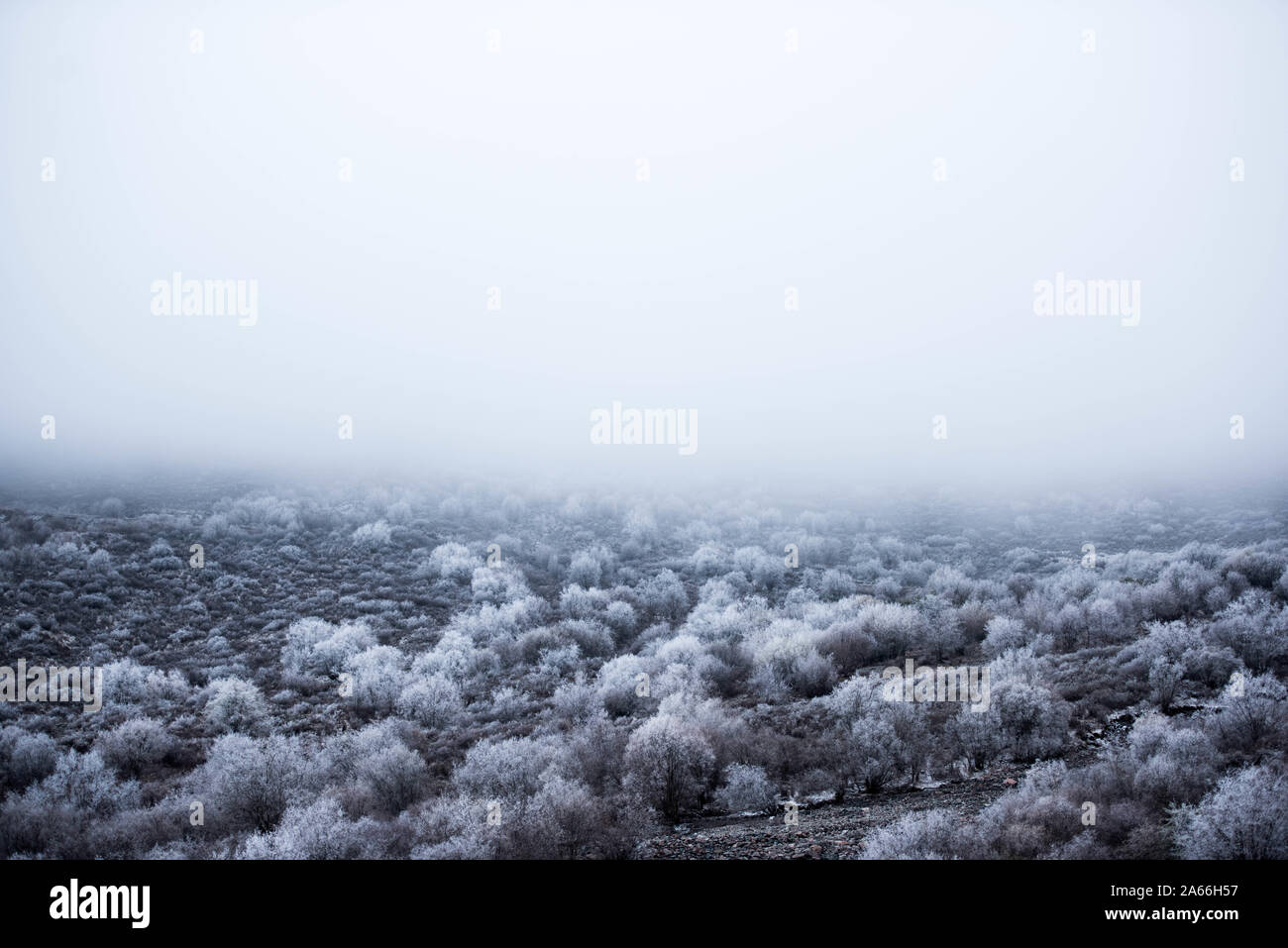 Xining. 24 ott 2019. Foto scattata su 24 Ottobre, 2019 mostra paesaggio a Qunjia National Forest Park nella contea di Huangzhong, a nord-ovest della Cina di Provincia di Qinghai. Credito: Wu pista/Xinhua/Alamy Live News Foto Stock