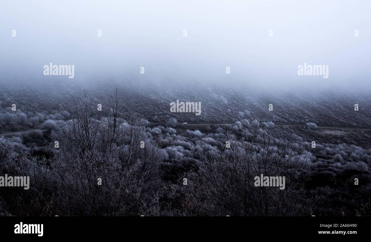 Xining. 24 ott 2019. Foto scattata su 24 Ottobre, 2019 mostra paesaggio a Qunjia National Forest Park nella contea di Huangzhong, a nord-ovest della Cina di Provincia di Qinghai. Credito: Wu pista/Xinhua/Alamy Live News Foto Stock