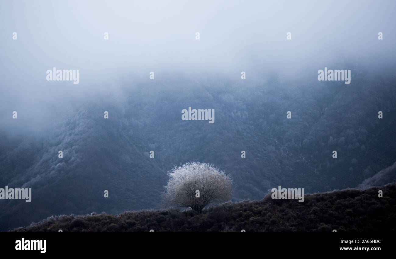 Xining. 24 ott 2019. Foto scattata su 24 Ottobre, 2019 mostra paesaggio a Qunjia National Forest Park nella contea di Huangzhong, a nord-ovest della Cina di Provincia di Qinghai. Credito: Wu pista/Xinhua/Alamy Live News Foto Stock