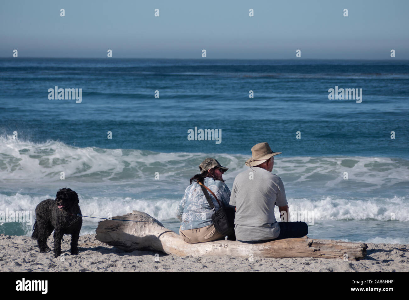 I turisti sulla spiaggia di Carmelo - in mare California USA Foto Stock