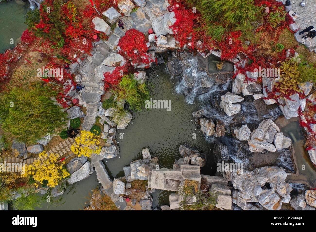 Tangshan. 24 ott 2019. Foto aeree prese su 24 Ottobre, 2019 mostra il paesaggio autunnale di Nanhu Park in Tangshan, nel nord della Cina di nella provincia di Hebei. Nanhu parco usato per essere un luogo abbandonato a causa di uno sfruttamento del carbone. Nel corso degli anni di gestione, il parco è stato che serve come il 'polmone verde' di Tangshan. Credito: Xing Guangli/Xinhua/Alamy Live News Foto Stock