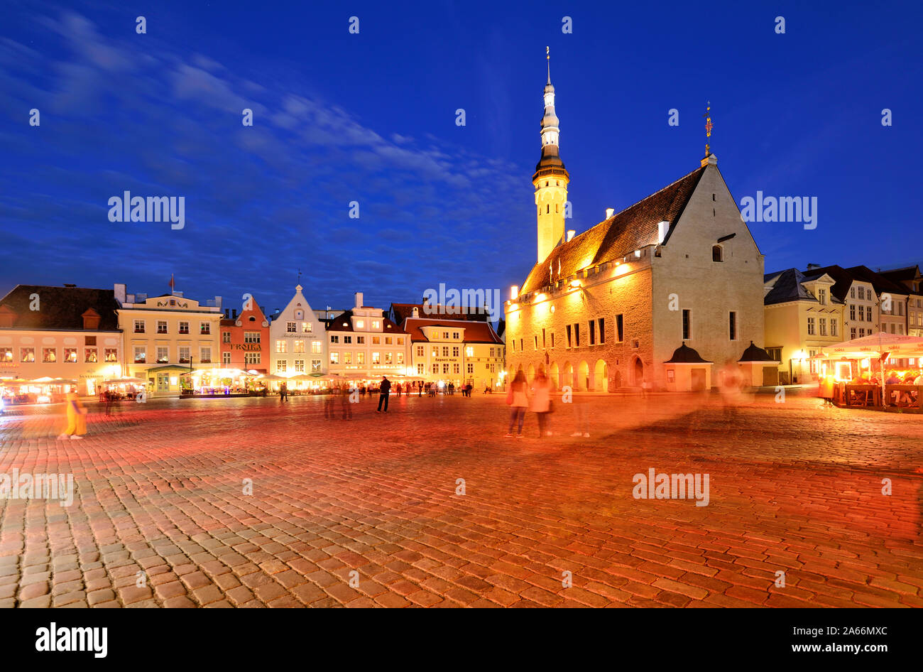 Piazza del Municipio (Raekoja plats) in serata. La città vecchia, un sito Patrimonio Mondiale dell'Unesco. Tallinn, Estonia Foto Stock