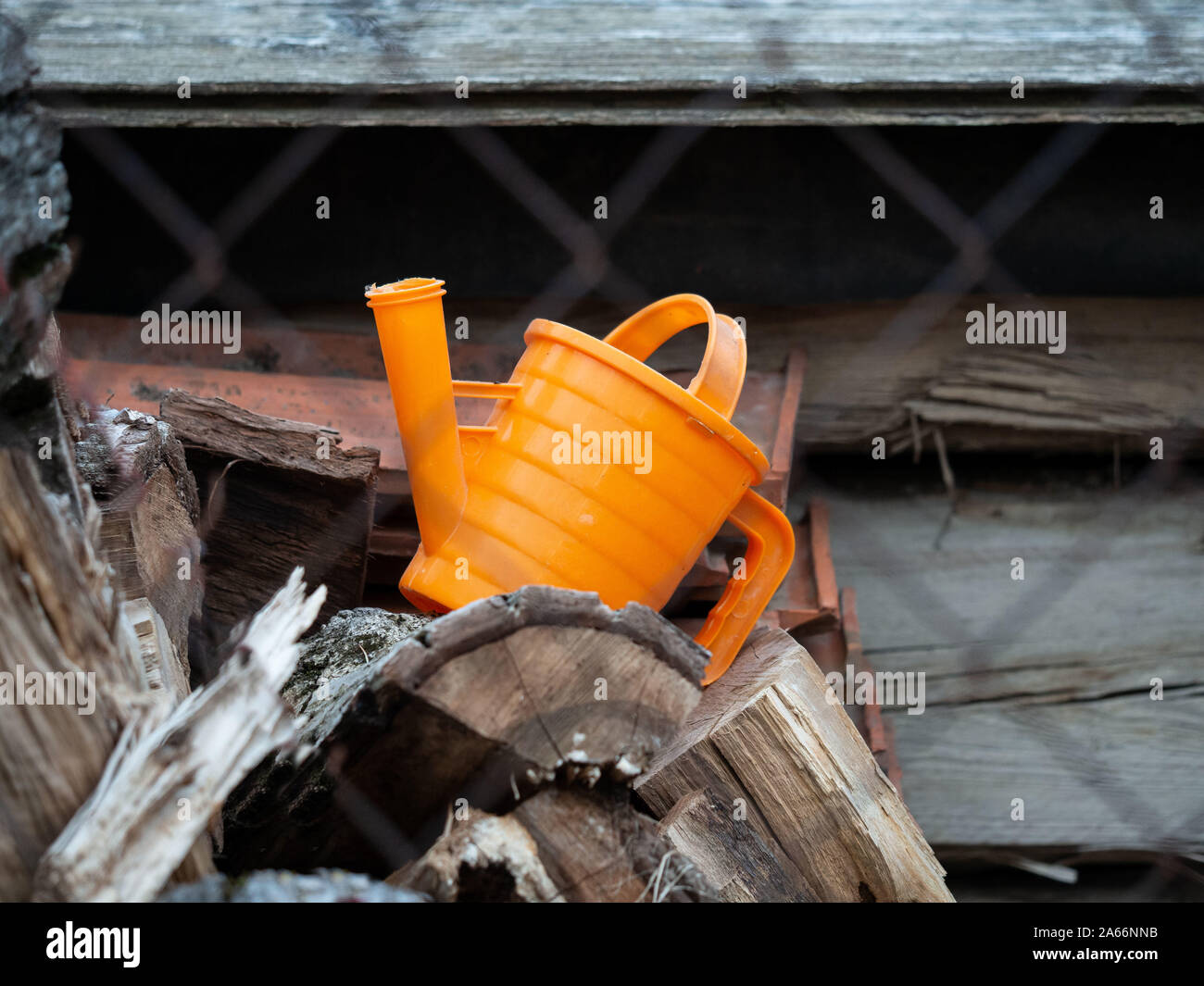 Piccolo orange annaffiatoio su un dosso di legno Foto Stock