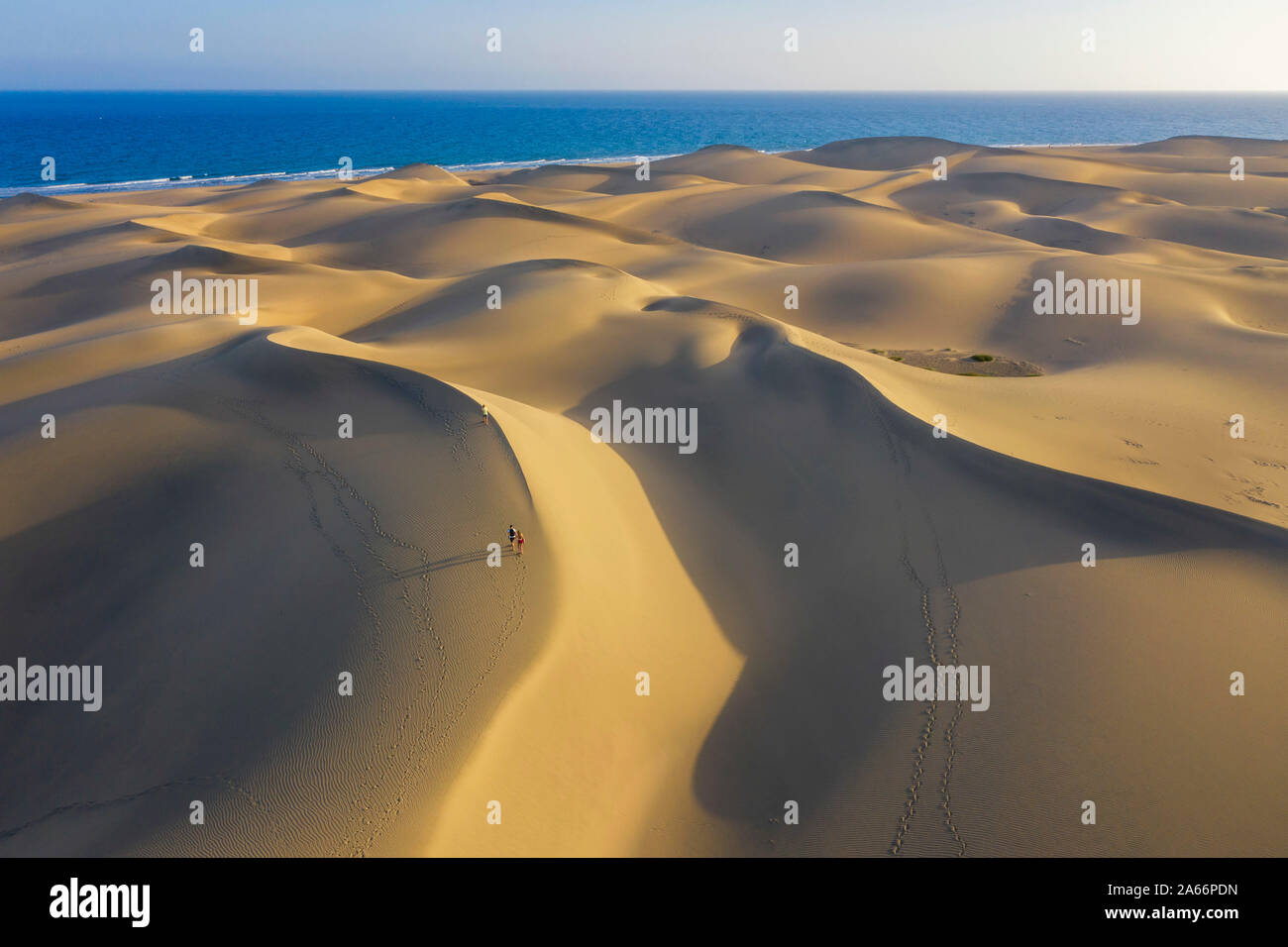 Spagna isole canarie Gran Canaria, Maspalomas le dune di sabbia Foto Stock