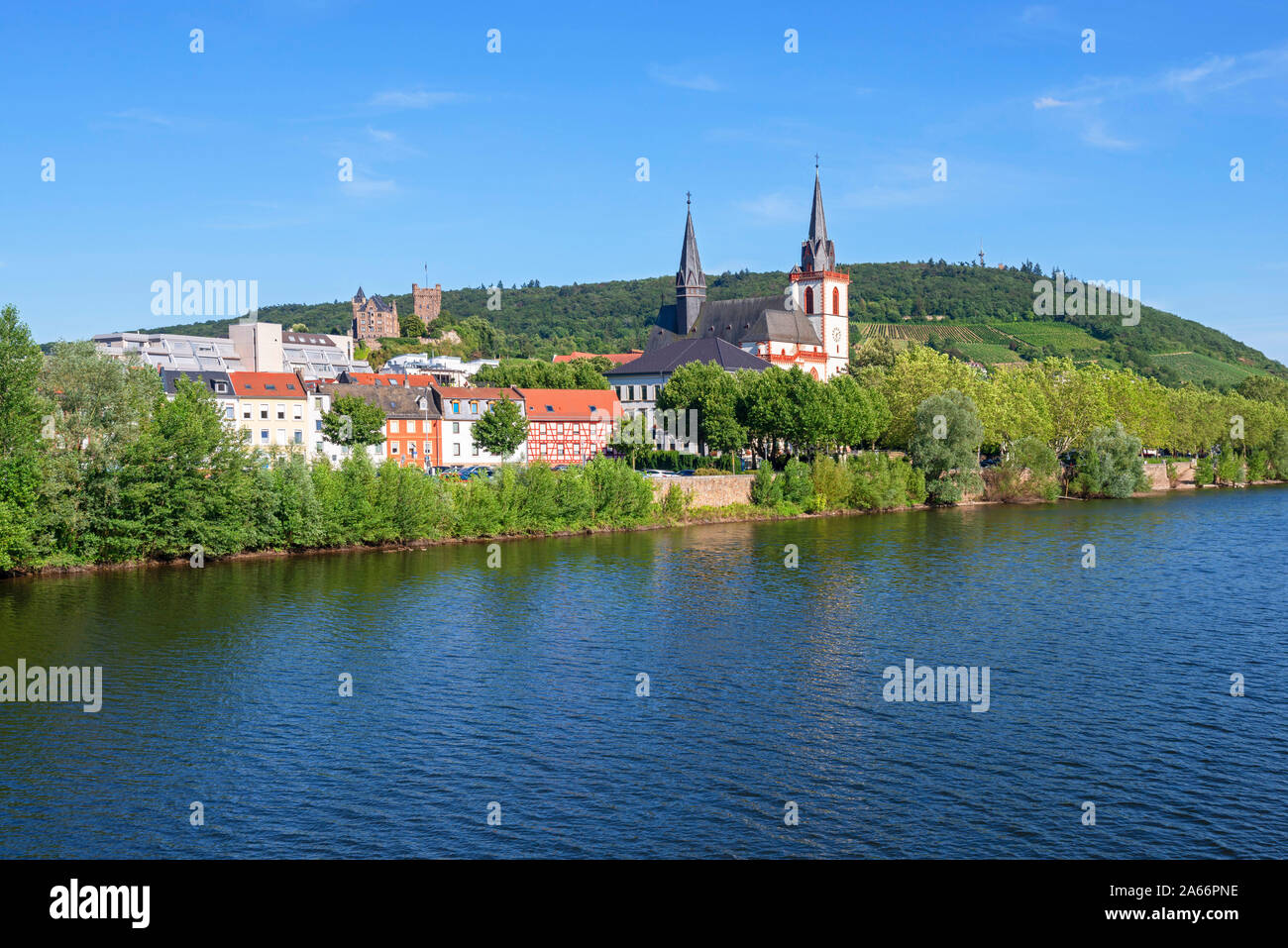 Fiume Nahe con Bingen con San Martin basilique e Castello di Klopp, Nahe valley, Renania-Palatinato, Germania Foto Stock