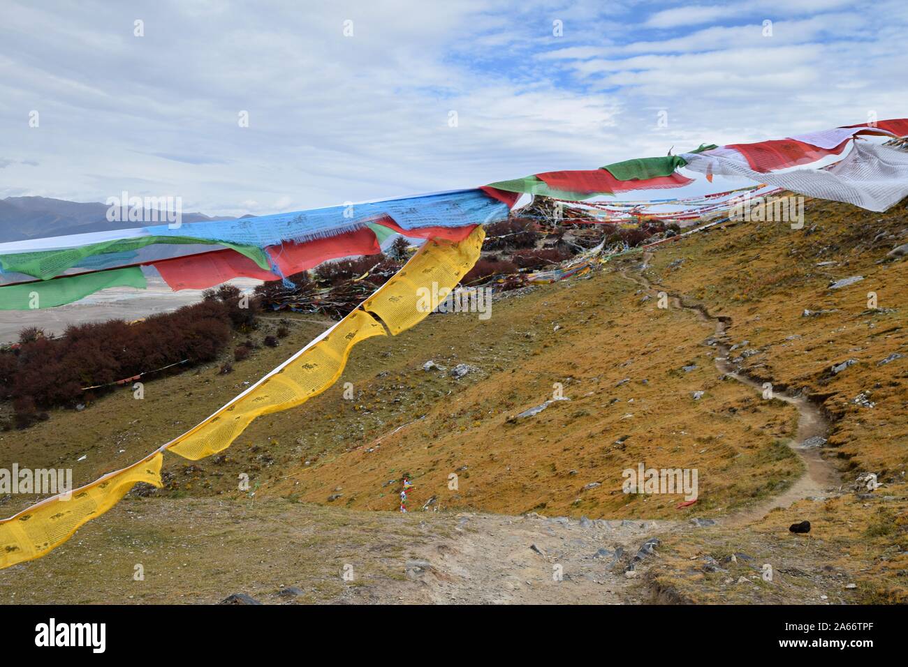 Preghiera tibetano bandiere benedire la campagna circostante dell'Himalaya. Mantra OM MANI PADME HUM scritto in sanscrito su di essi. Foto Stock