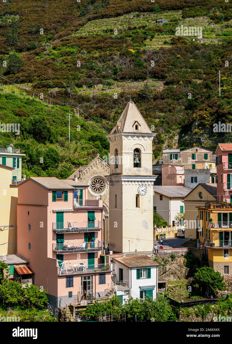 La Chiesa di San Lorenzo torre, Manarola, Cinque Terre, Sito Patrimonio Mondiale dell'UNESCO, Liguria, Italia Foto Stock