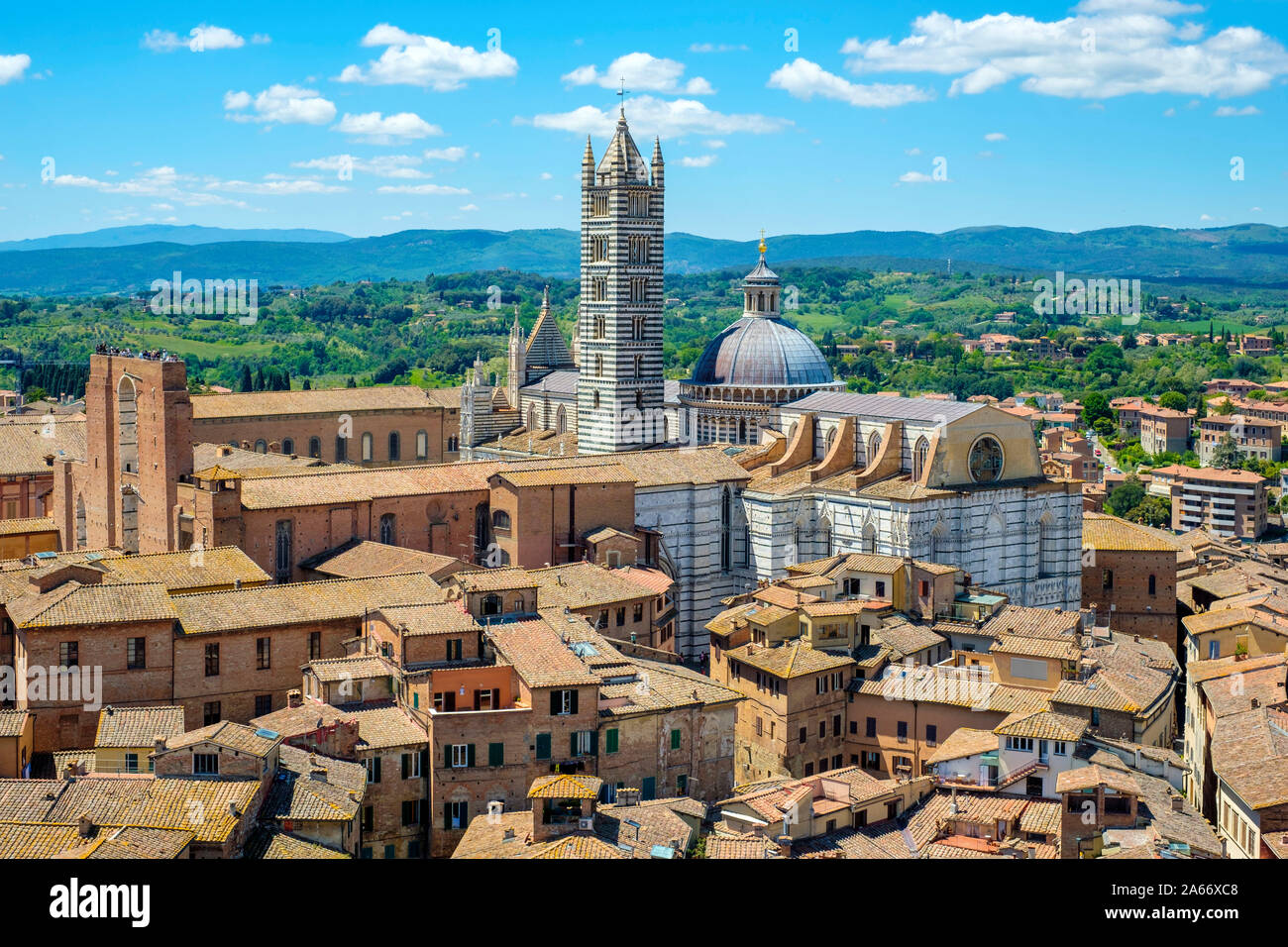 Angolo di alta vista del Duomo di Siena (Cattedrale di Siena) e gli edifici della città vecchia. UNESCO World Heritage Site, Siena, Toscana, Italia, Europa. Foto Stock