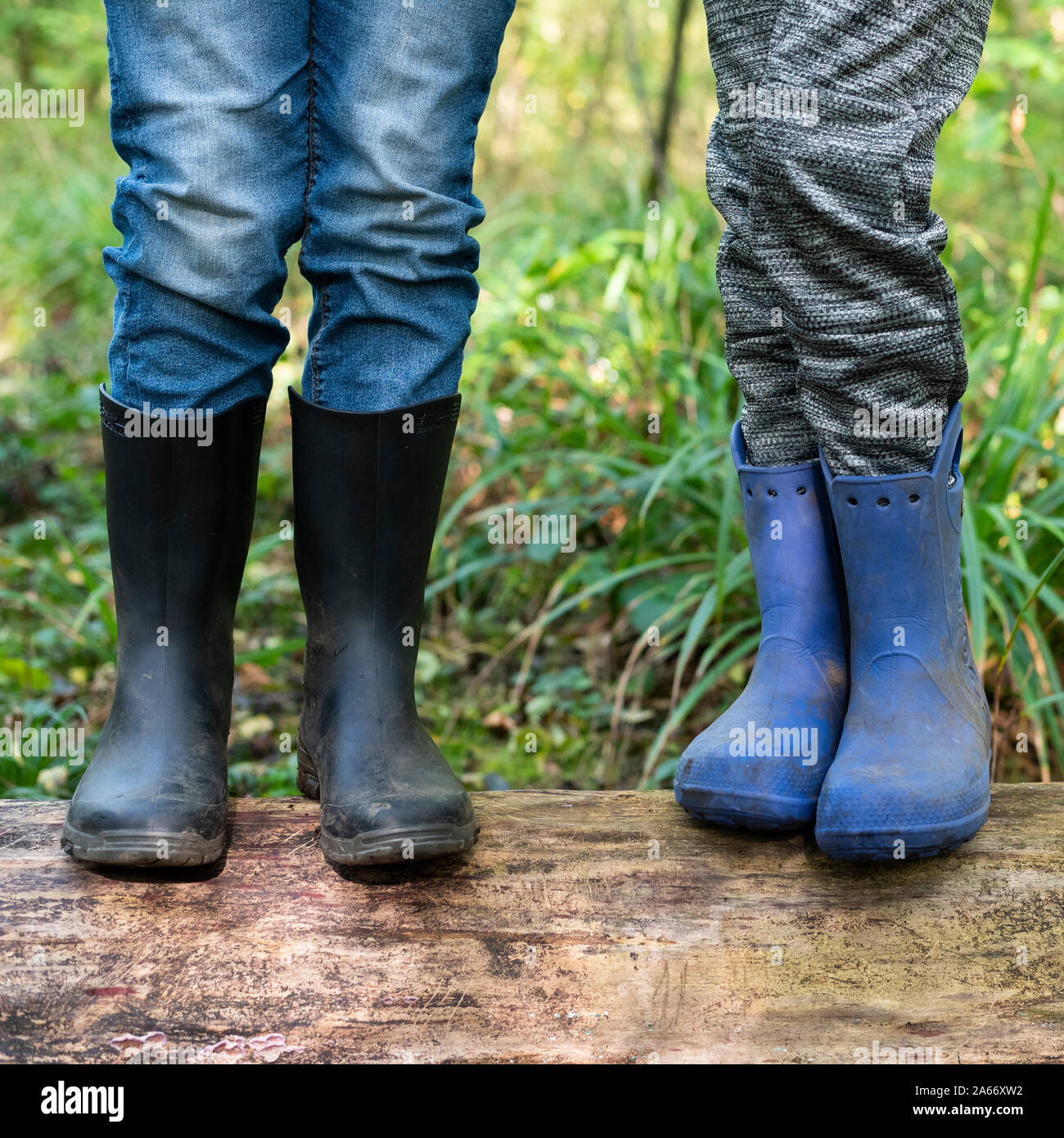 I bambini in wellies in piedi su un registro nel bosco Foto Stock