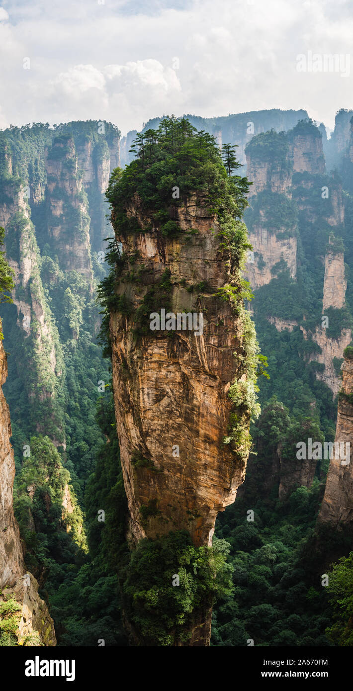 La pietra arenaria naturale formazioni in Zhangjiajie National Forest Park nella provincia del Hunan, Cina. Foto Stock