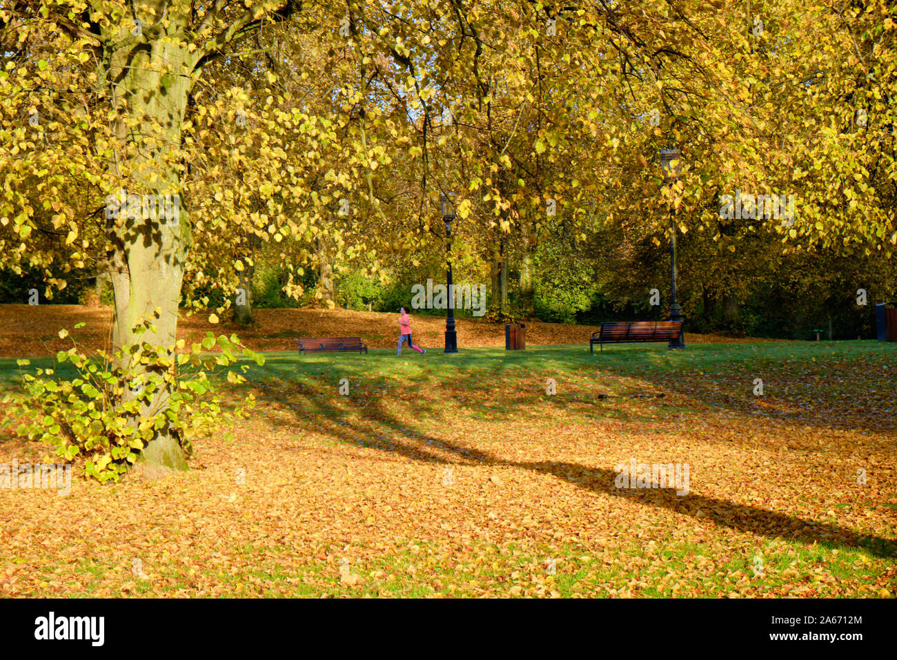 Autunno in scena a Stormont station wagon, Belfast Foto Stock