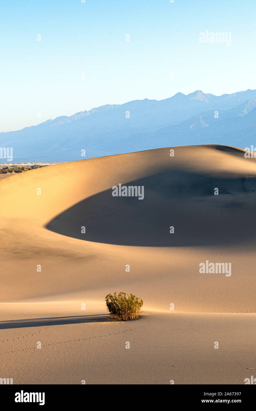 Mesquite Flat dune di sabbia, il parco nazionale della Valle della Morte, CALIFORNIA, STATI UNITI D'AMERICA Foto Stock