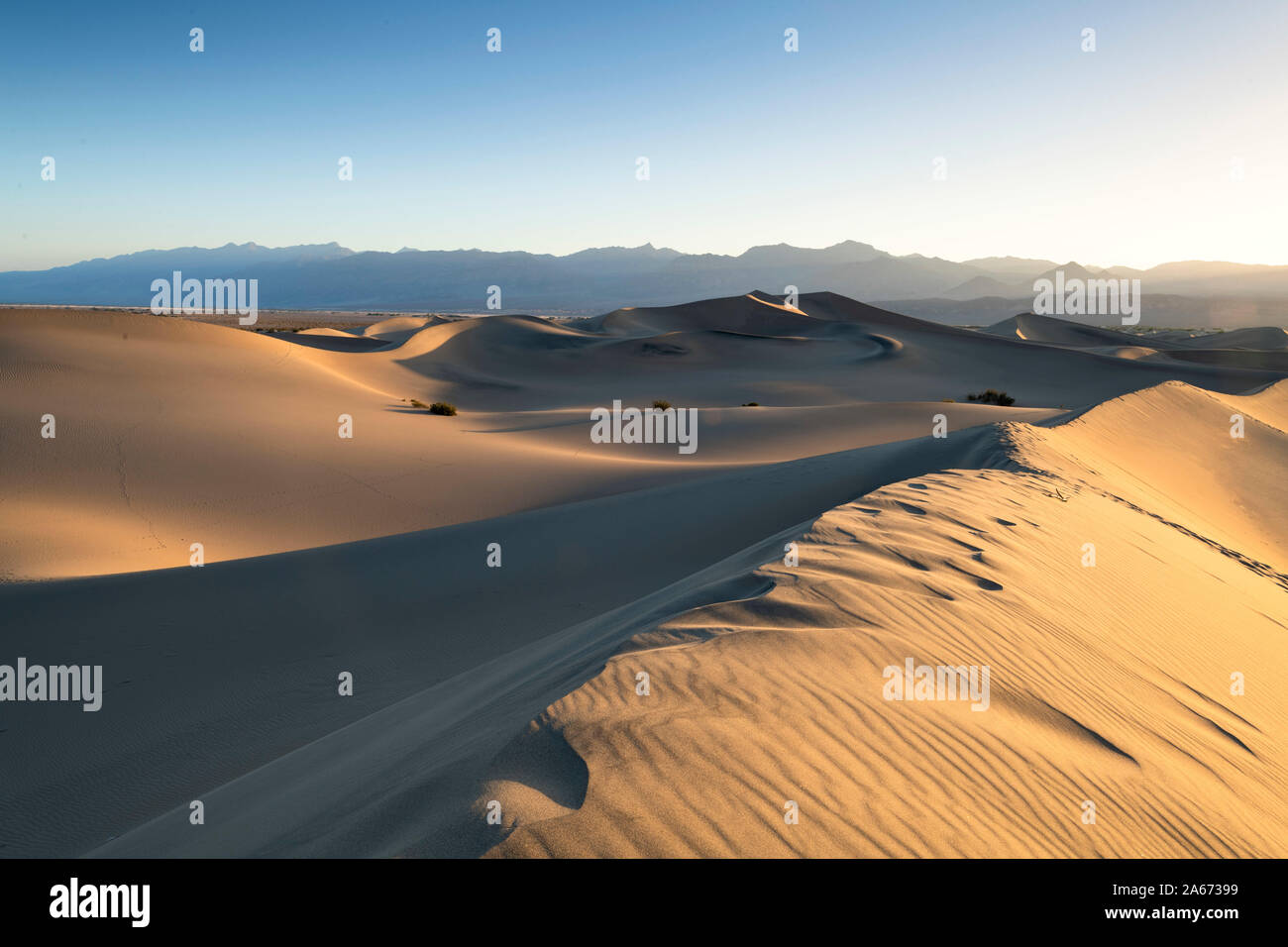 Mesquite Flat dune di sabbia, il parco nazionale della Valle della Morte, CALIFORNIA, STATI UNITI D'AMERICA Foto Stock