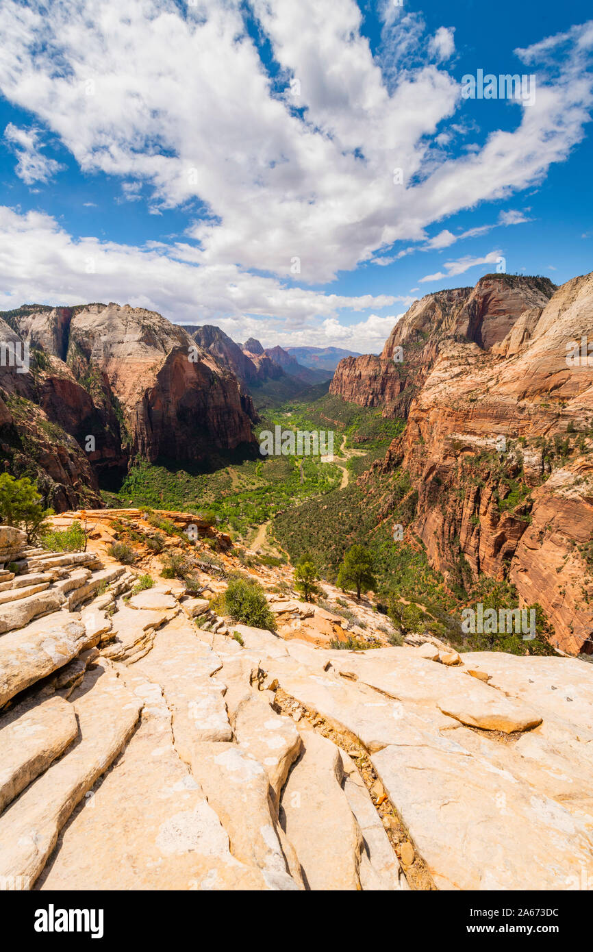 Vista del Canyon Zion da angeli lo sbarco del Parco Nazionale Zion, Utah, Stati Uniti d'America Foto Stock