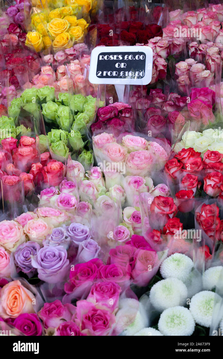 Fiori colorati in vendita presso la Columbia Road Flower Market, Columbia Road, Bethnal Green, East London, London, England, Regno Unito, Europa Foto Stock