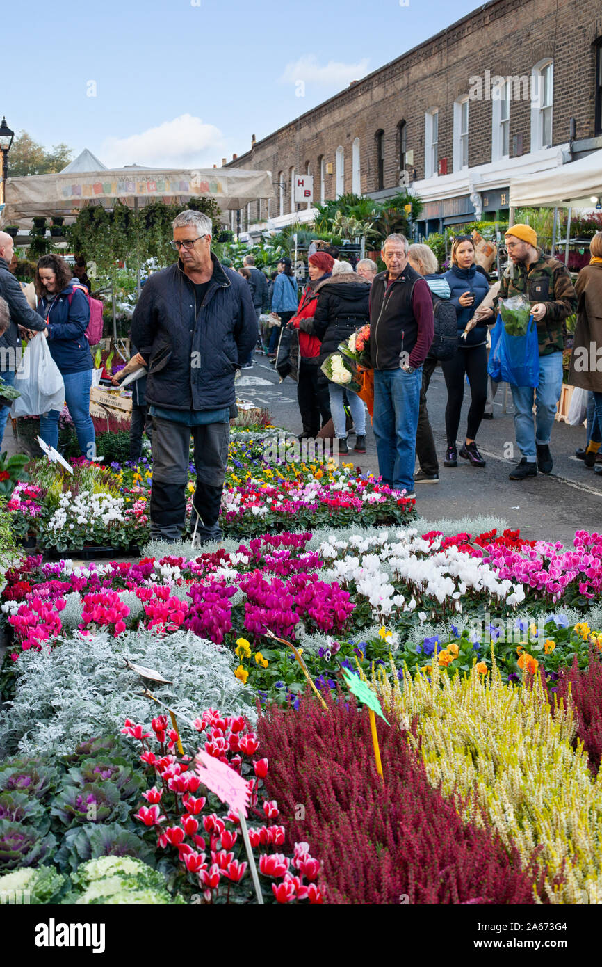 Fiori colorati in vendita presso la Columbia Road Flower Market, Columbia Road, Bethnal Green, East London, London, England, Regno Unito, Europa Foto Stock