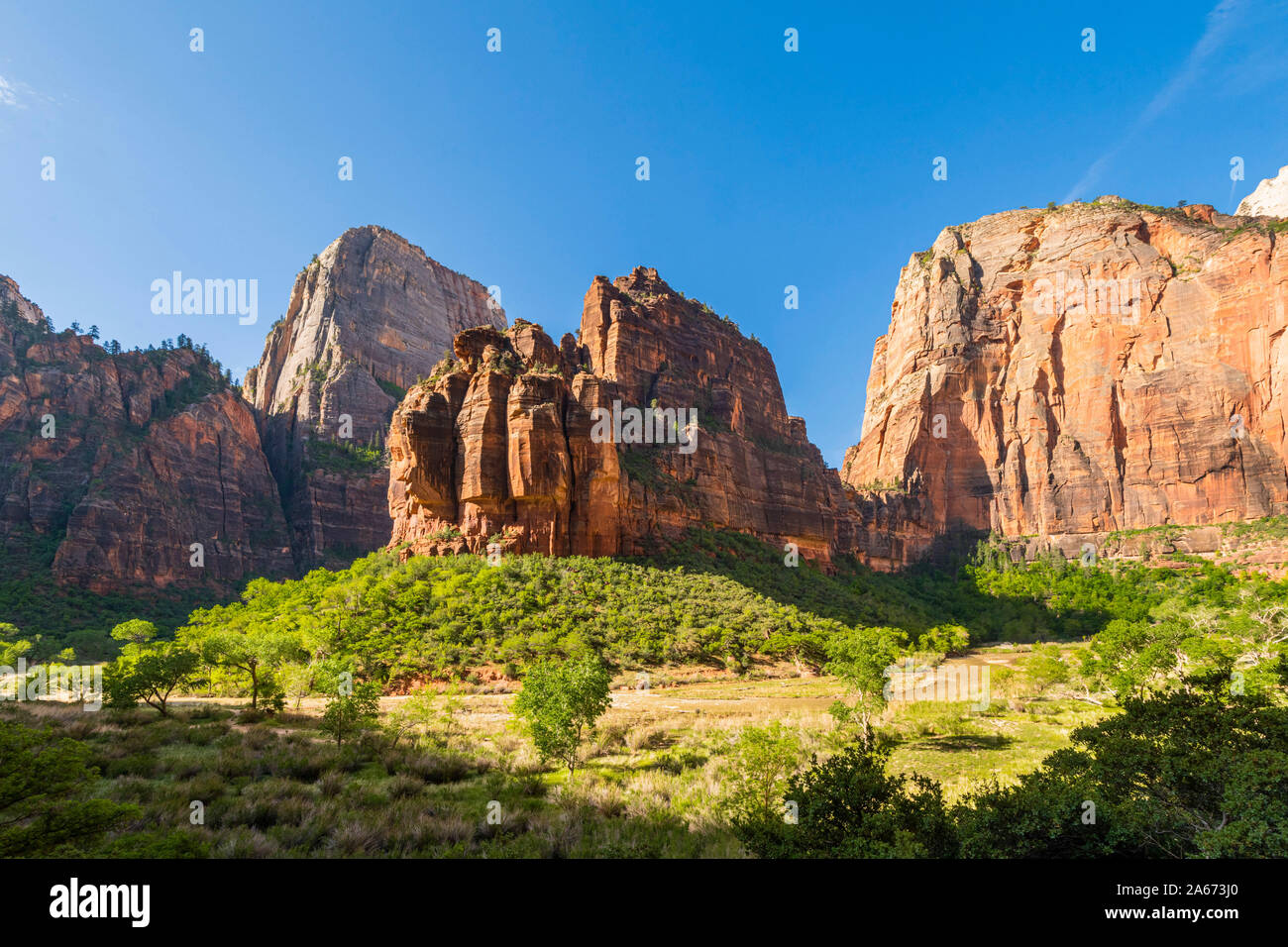 Big Bend Zion National Park, Utah, STATI UNITI D'AMERICA, Foto Stock