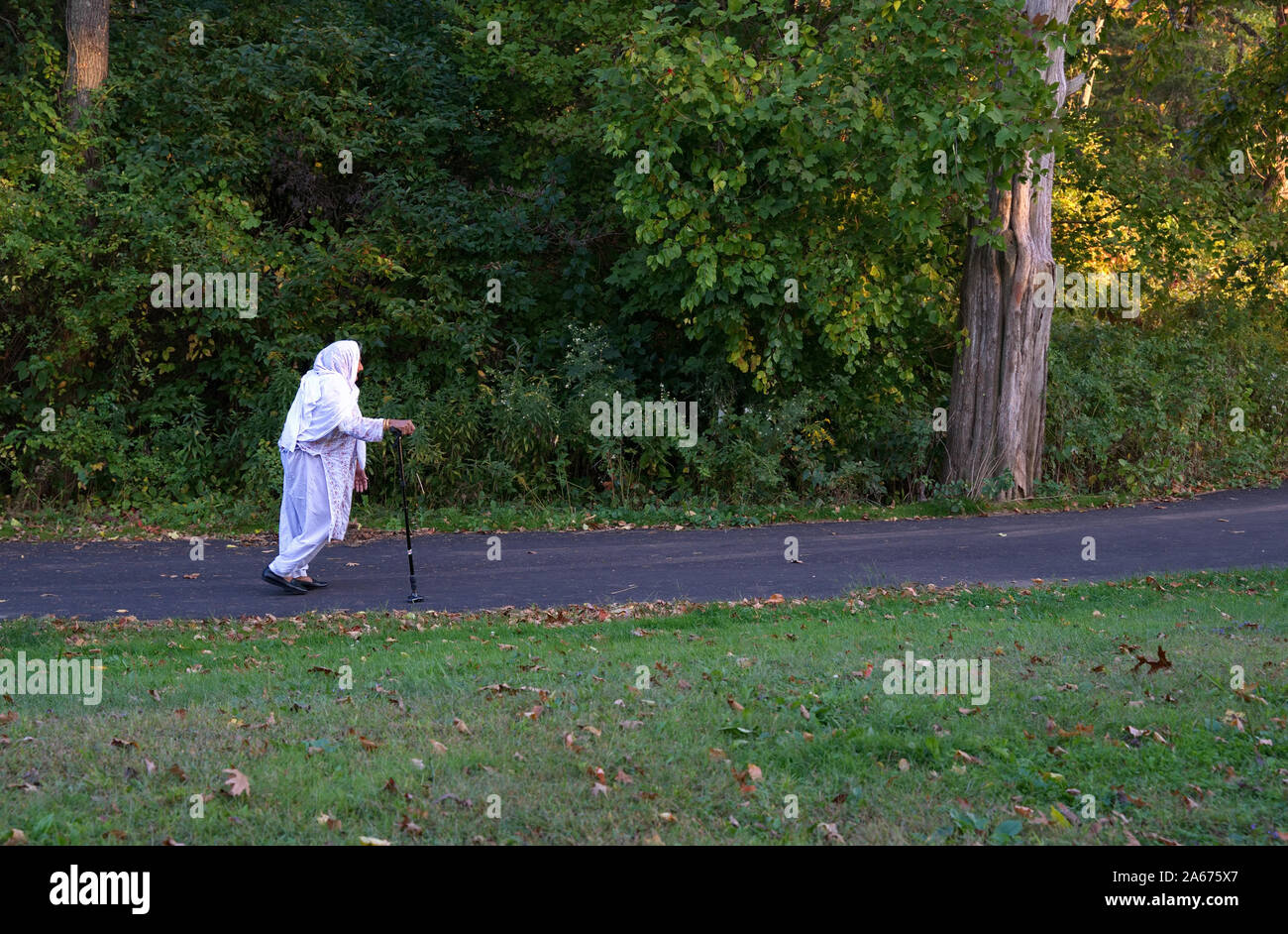 Middletown, CT, Stati Uniti d'America. Sep 2019. Una donna anziana del Sud Est asiatico la discesa a piedi con canna a una Nuova Inghilterra park. Foto Stock