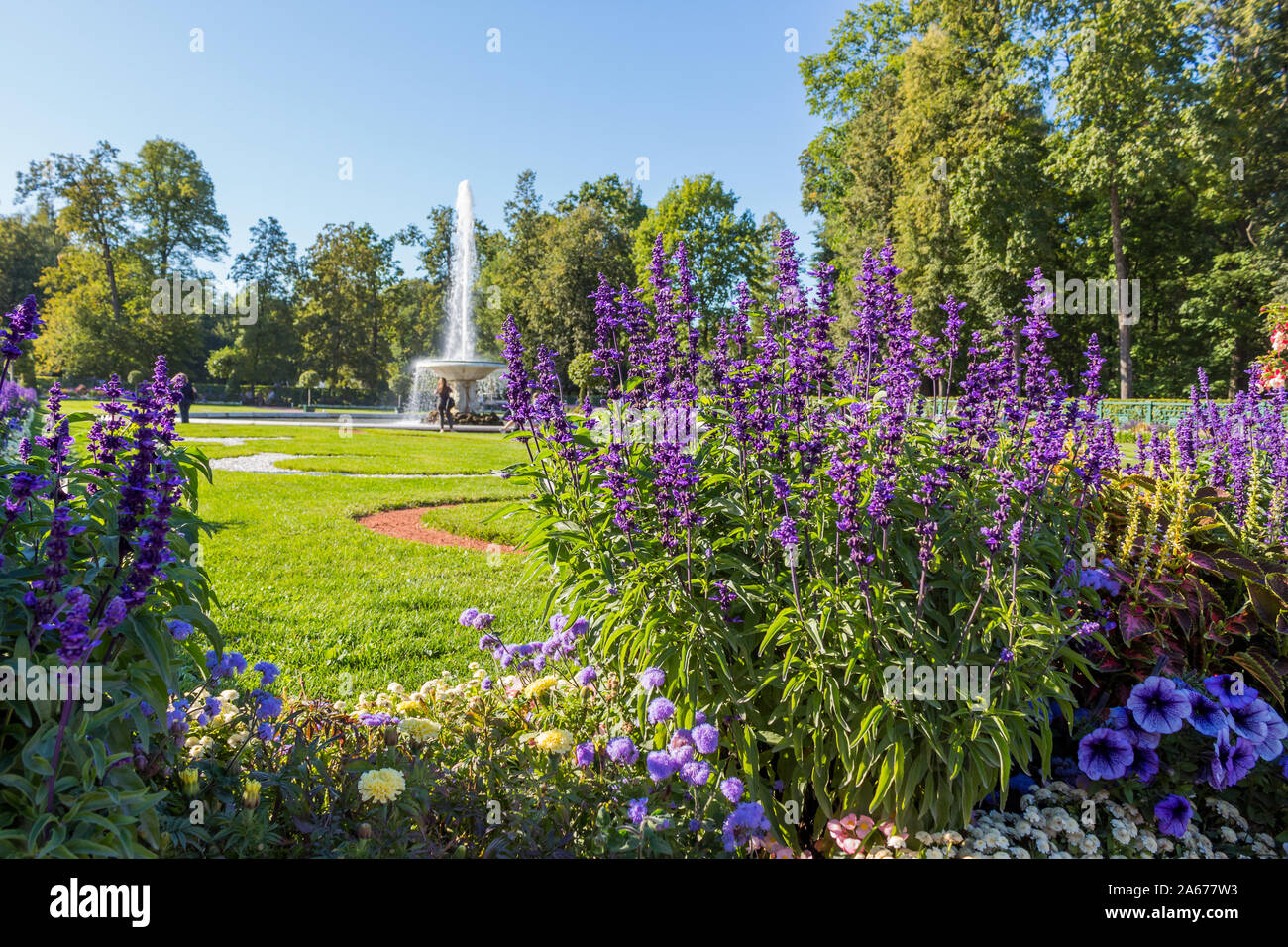 San Pietroburgo, Russia- Agosto 29, 2019: Peterhof, San Pietroburgo, King's Palace e il grand-fontana. La Russia Foto Stock