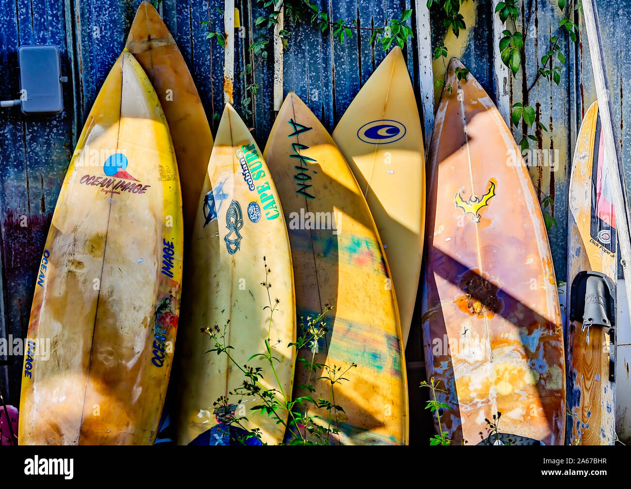 Tavole da surf sono visualizzati, 6 ott. 2019, in Apalachicola, Florida. Foto Stock