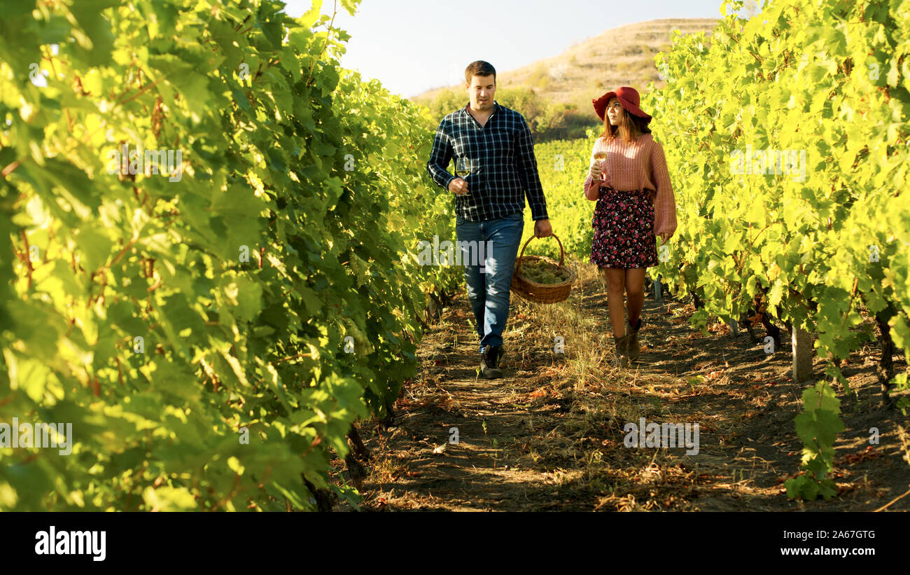 Giovane camminando in un vigneto con bicchieri di vino in mani. L'uomo sta portando un cesto di uva. Foto Stock