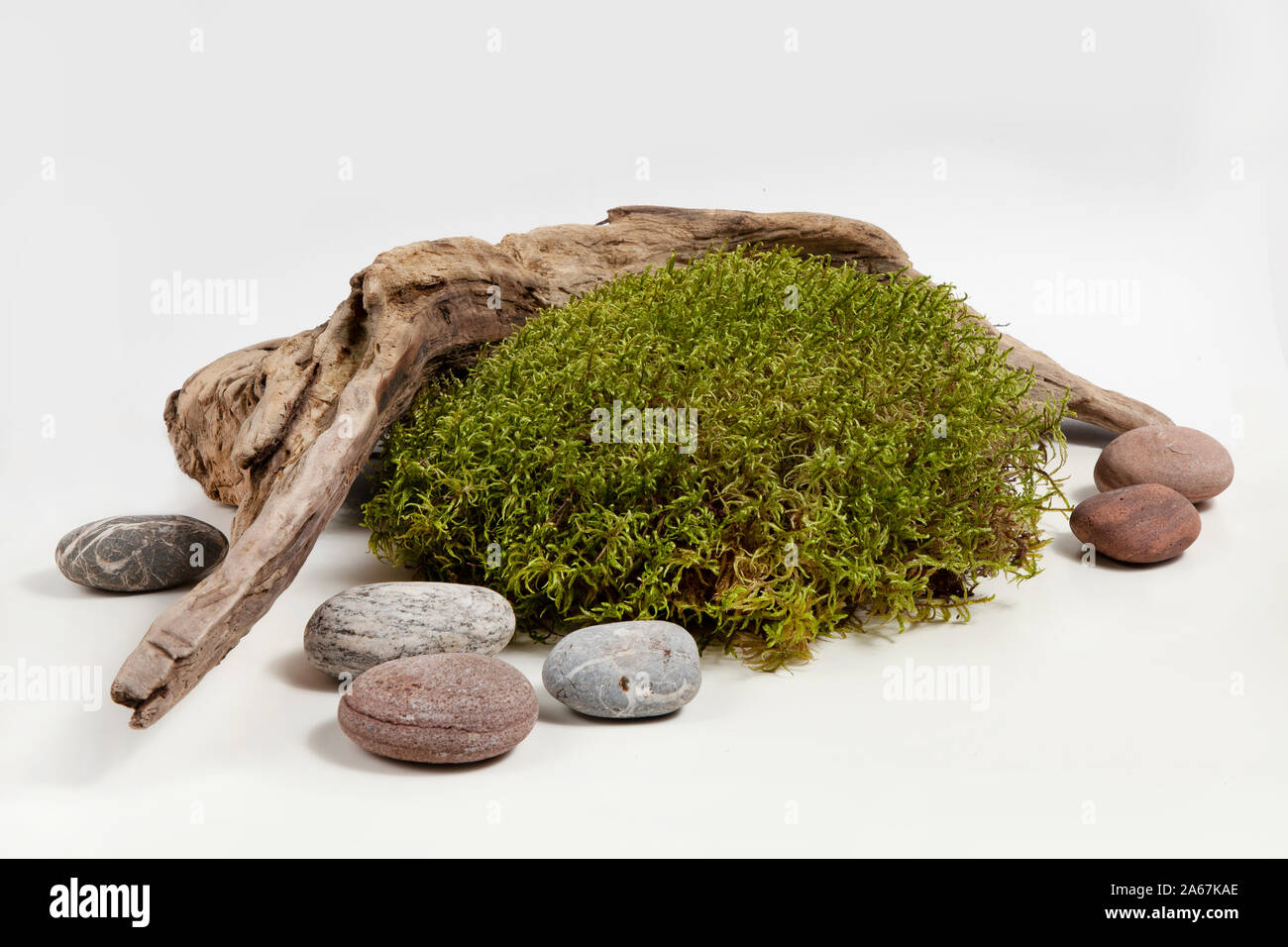 Composizione del pezzo di legno, MOSS e pietre isolate su uno sfondo bianco Foto Stock