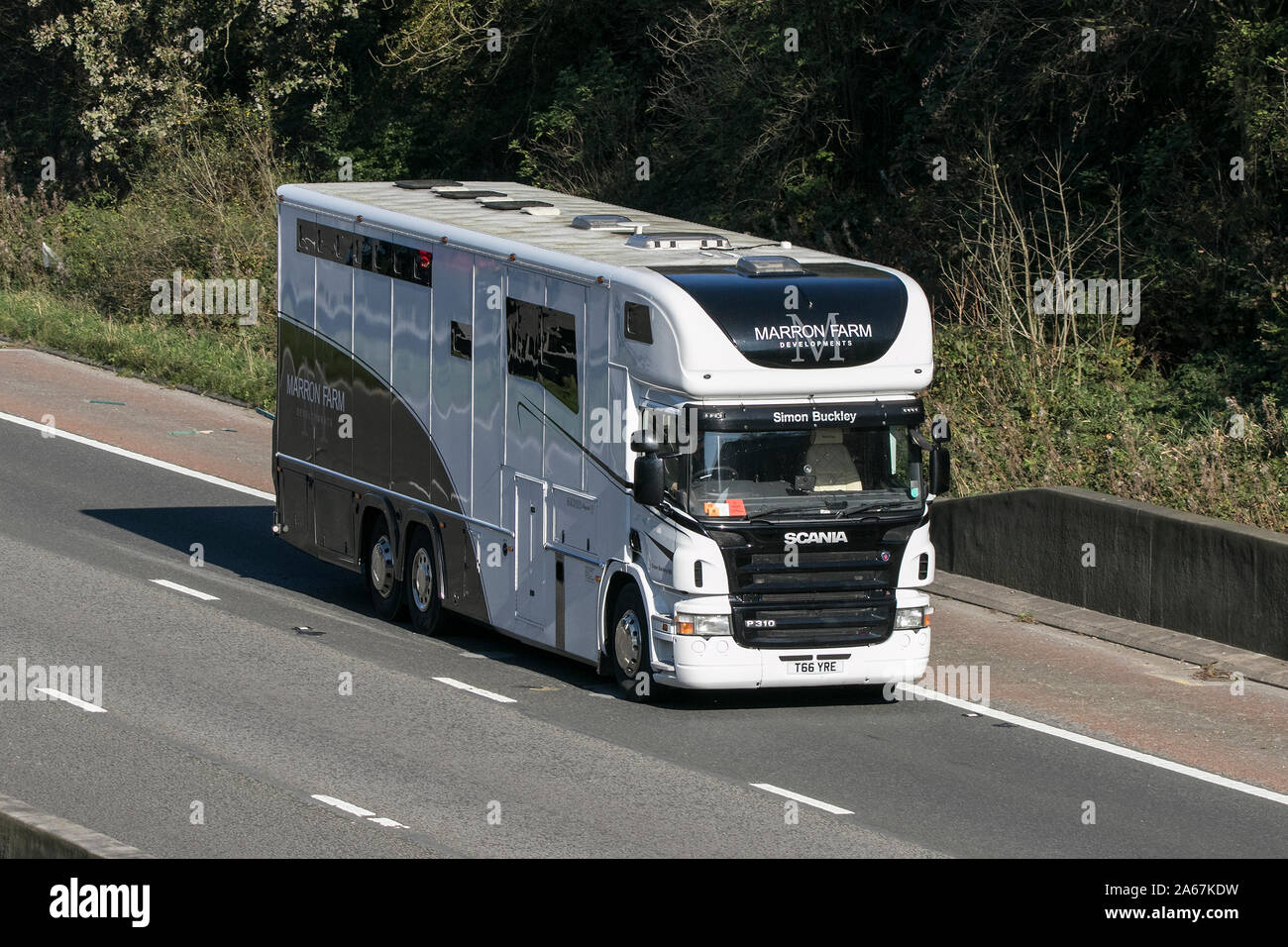 Un Marron Farm sviluppi Simon Buckley Scania P310 semi di trasporto carrello Viaggiare sulla autostrada M6 vicino a Preston nel Lancashire, Regno Unito Foto Stock