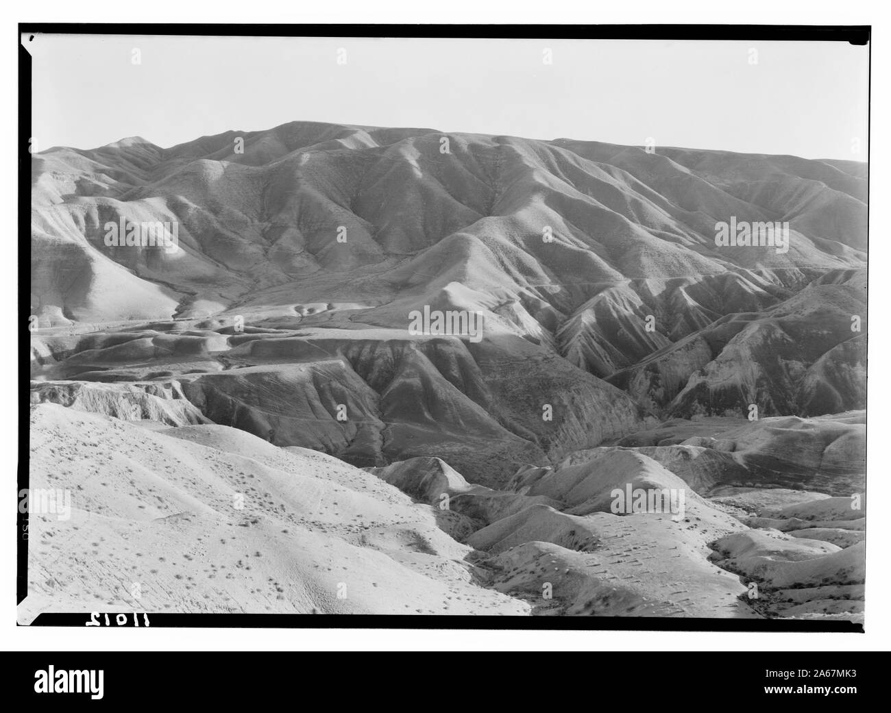 Deserto della Giudea da Neby Mousa [cioè Nebi Musa], chiudere i contorni delle colline Foto Stock