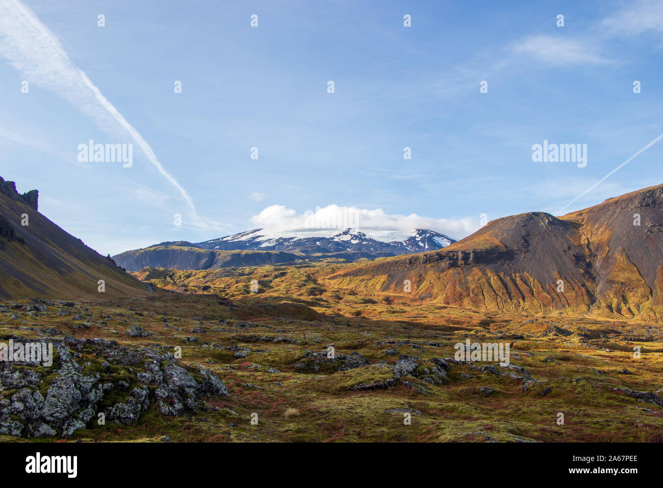 Coperte di neve montagna e muschio islandese blue sky Foto Stock