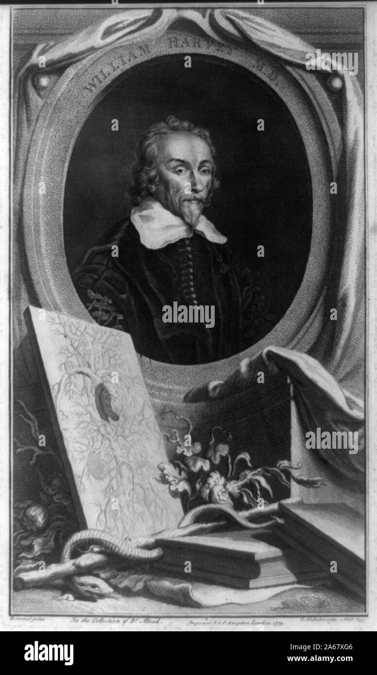 William Harvey M.D. / Bemmel pinx. ; J. Houbraken sculps. Amst. 1739. Foto Stock