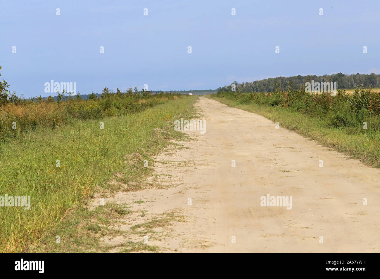 Esplorare il fiume di alligatore Wildlife Refuge in auto Foto Stock