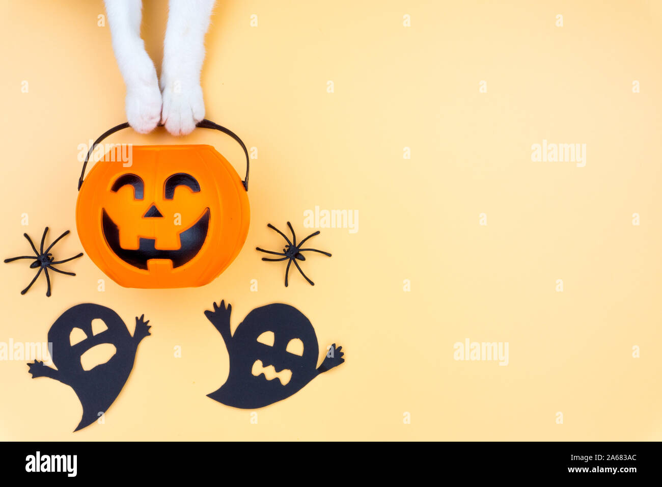 Vista superiore della Decorazione Halloween, una mano di cat holding jack o lantern, ghost e spider su sfondo giallo con copia spazio per testo. halloween conc Foto Stock