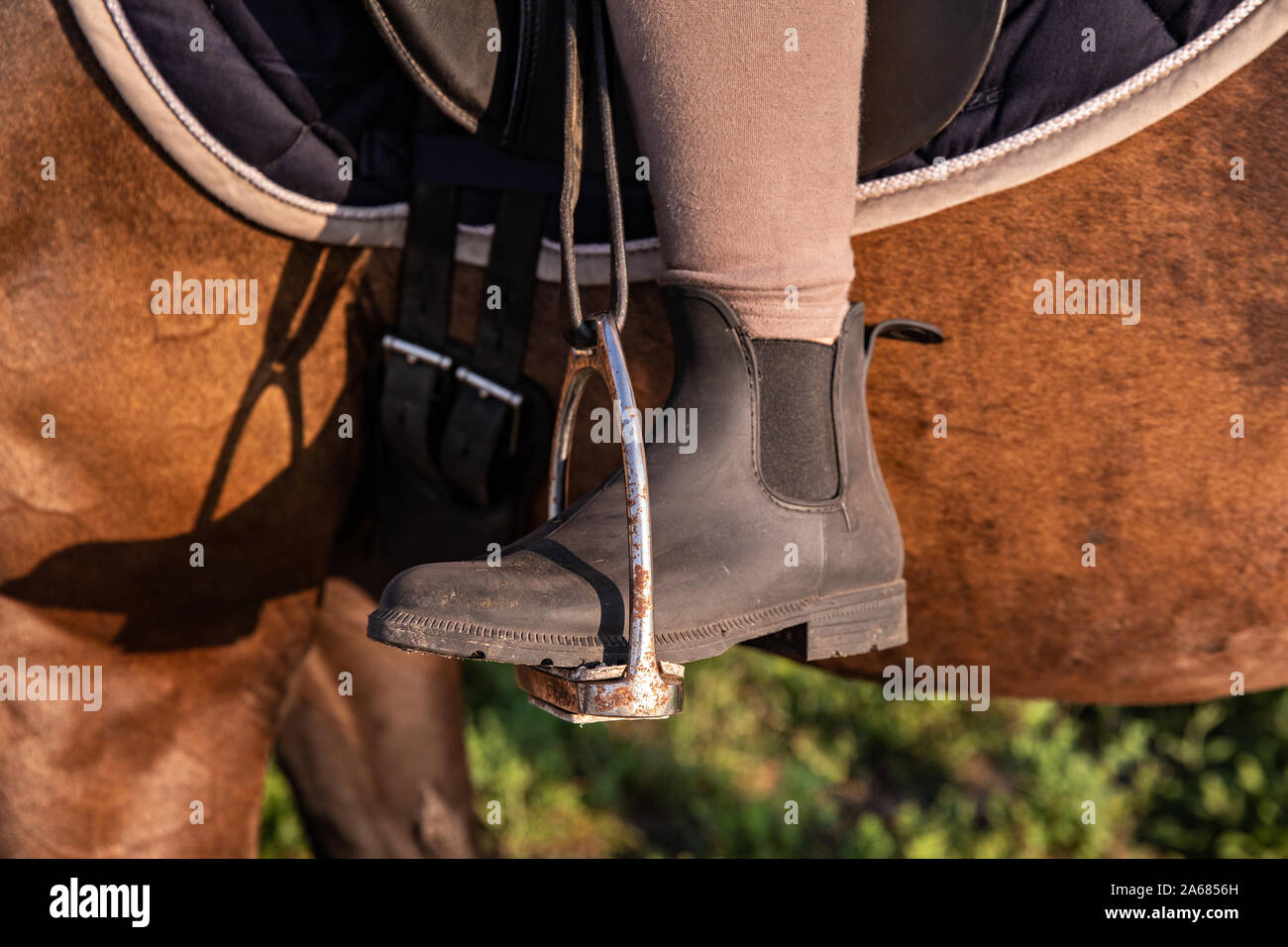 Close-up di equitazione con il piede nella staffa Foto Stock