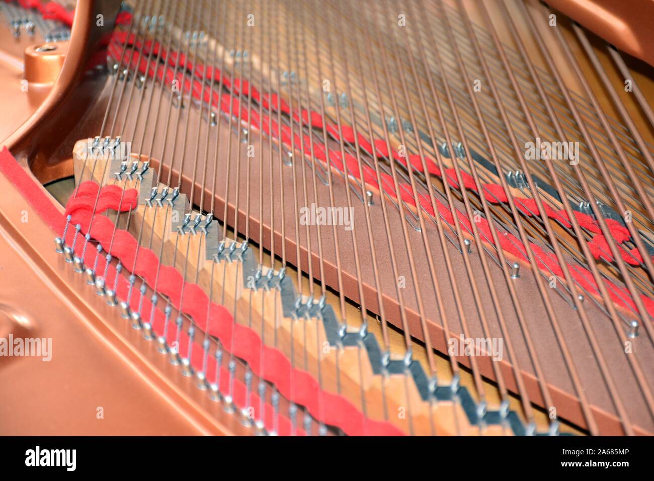 Caja de resonancia, interno Cuerdas y de onu pianoforte de cola Foto Stock