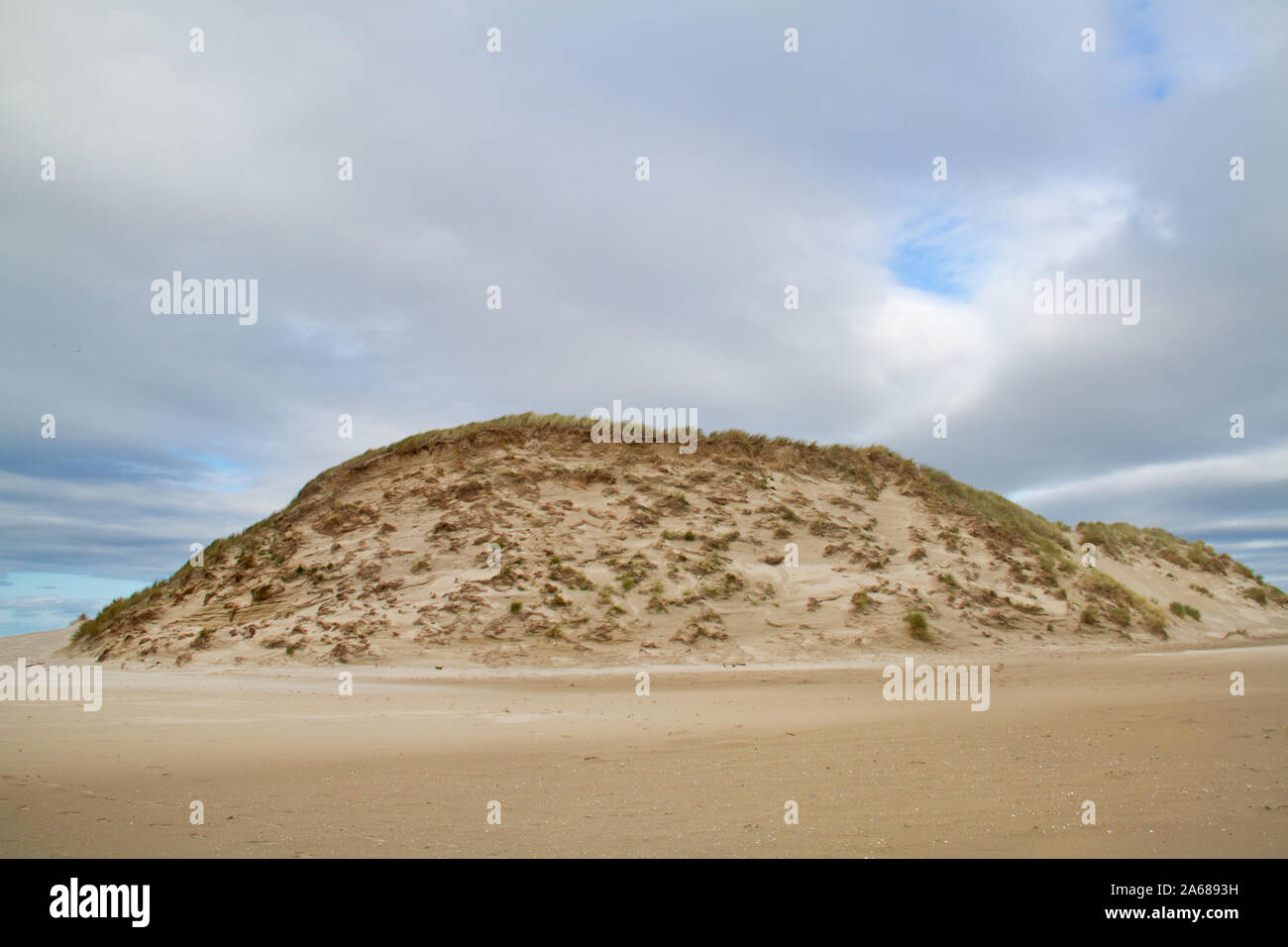 Duna ripida scarpata dopo attacco d'onda, il faggio dell'isola olandese di Terschelling Foto Stock Duna ripida scarpata dopo attacco d'onda, il faggio dell'isola olandese di Terschelling Foto Stock