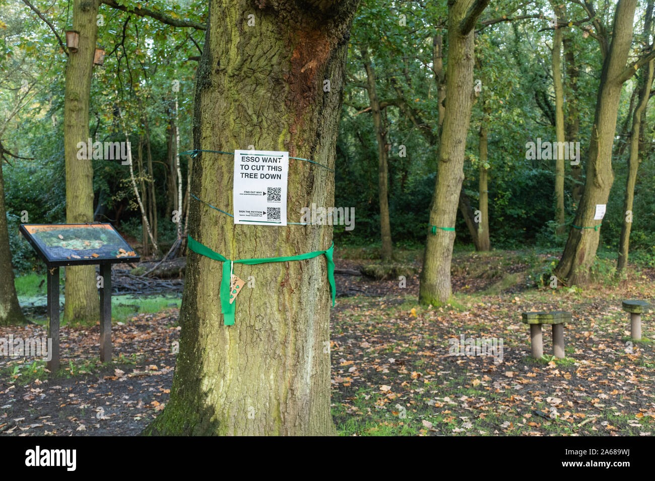 Ottobre 2019. Esso sta progettando di sostituire 90km di un esistente del combustibile per aviazione pipeline da Southampton a Londra, e la proposta di percorso passa attraverso il Queen Elizabeth Park a Farnborough, Hampshire, Regno Unito. Il progetto prevede il taglio di molti alberi del parco, compresi alberi maturi. Un gruppo di azione è stato istituito da Donna Wallace, precedente Partito Verde candidato per Rushmoor Borough consiglio, denominato Salva Queen Elizabeth Park da esso il combustibile da aviazione Pipeline. Gli avvisi sono stati condizionati sulla minaccia di alberi e verde ai nastri legata intorno a loro e una petizione è stata avviata Foto Stock