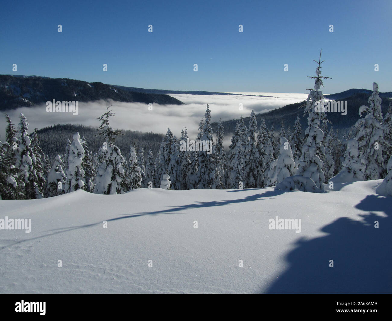 Un inverno nevoso vista da vicino il vertice della cresta fantasma che guarda un coperto nebbia Barlow Creek Valley. Mt. Hood National Forest. Oregon. Foto Stock