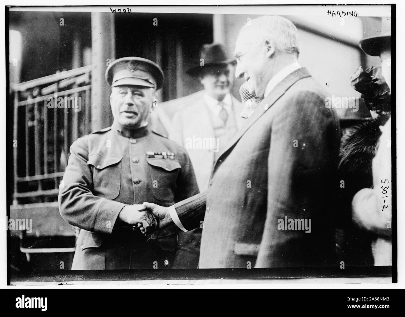 Legno, Harding Foto Stock