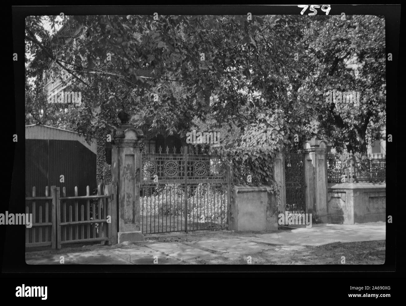 Cancellata in ferro battuto, New Orleans o Charleston, Carolina del Sud Foto Stock