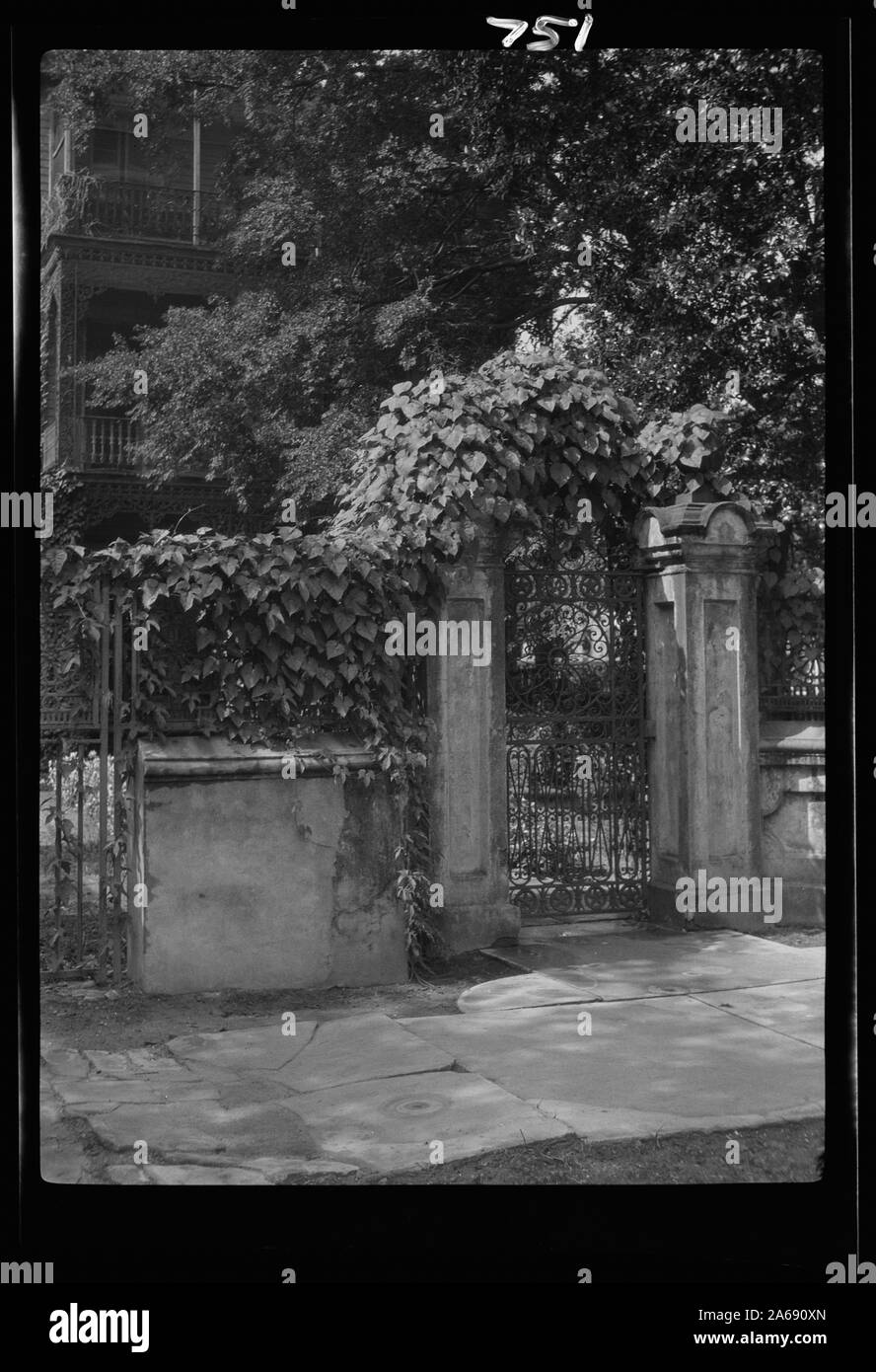 Cancellata in ferro battuto, New Orleans o Charleston, Carolina del Sud Foto Stock