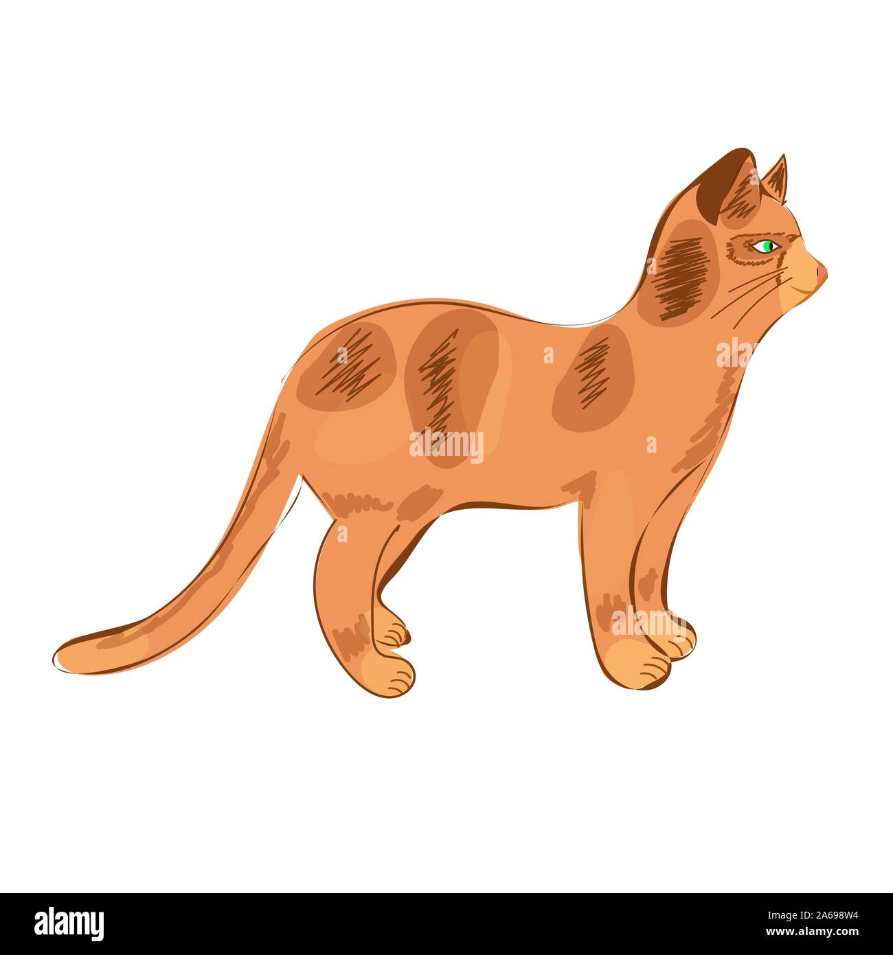 Cuscino a forma di gatto multicolor . Cat orange