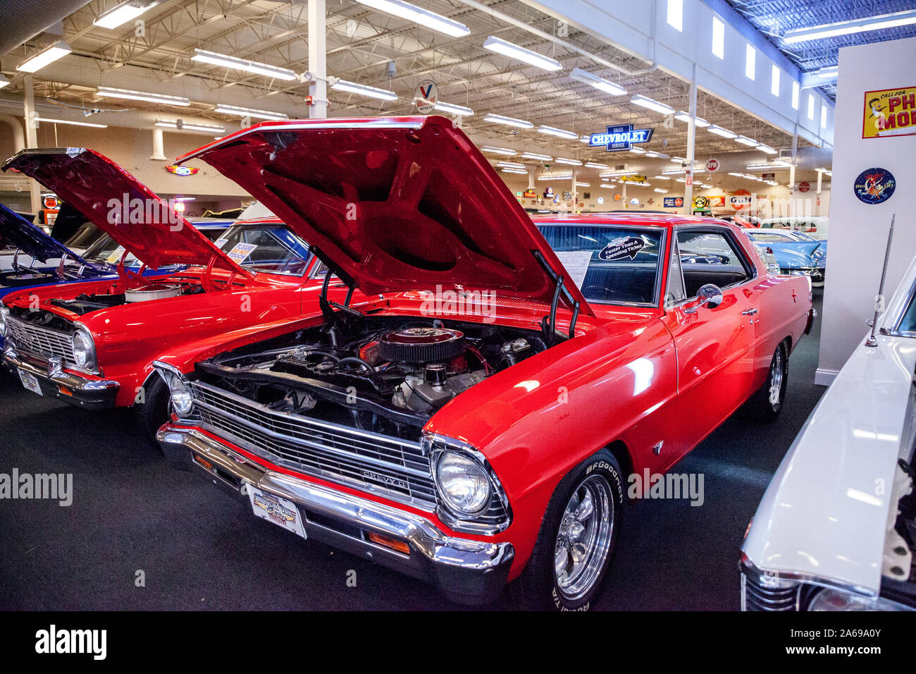 Punta Gorda, Florida, Stati Uniti d'America - 13 Ottobre 2019: Rosso 1967 Chevrolet Nova visualizzati al muscolo auto del museo della città. Uso editoriale Foto Stock