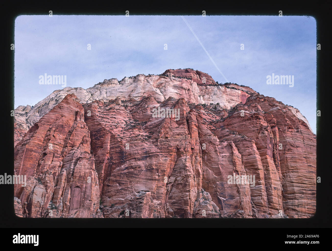 Parco Nazionale di Zion, springdale, Utah Foto Stock